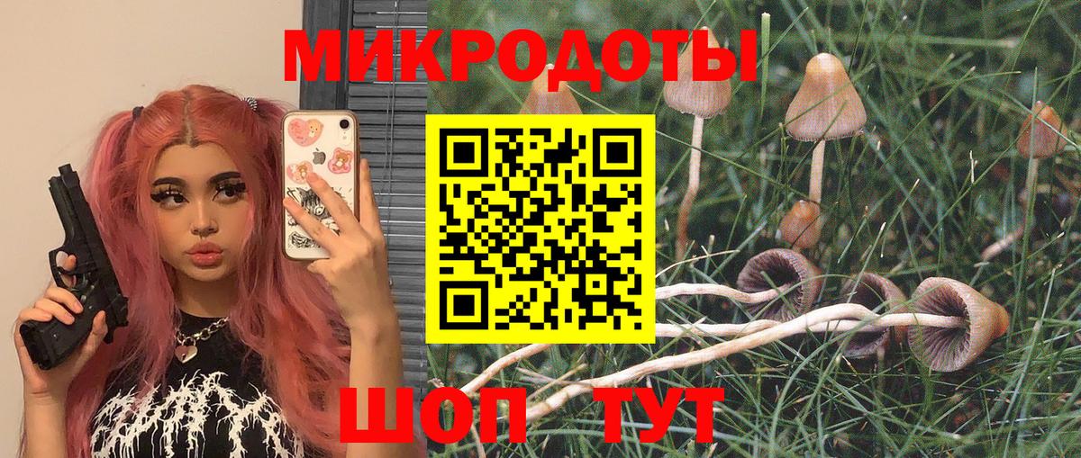 Галлюциногенные грибы Psilocybine cubensis Муравленко