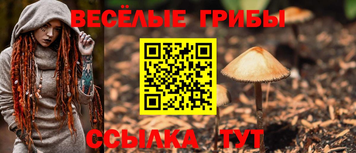 Муравленко  Псилоцибиновые грибы Magic Shrooms  Вход с VPN 